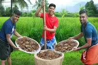 ببینید| غذای روستایی در هند؛ صید خرچنگ گِلی و پخت غذا با آن در طبیعت