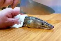 ببینید| غذای خیابانی در ژاپن؛ تهیه خوراک با مارماهی و تخم مرغ در اوکیناوا