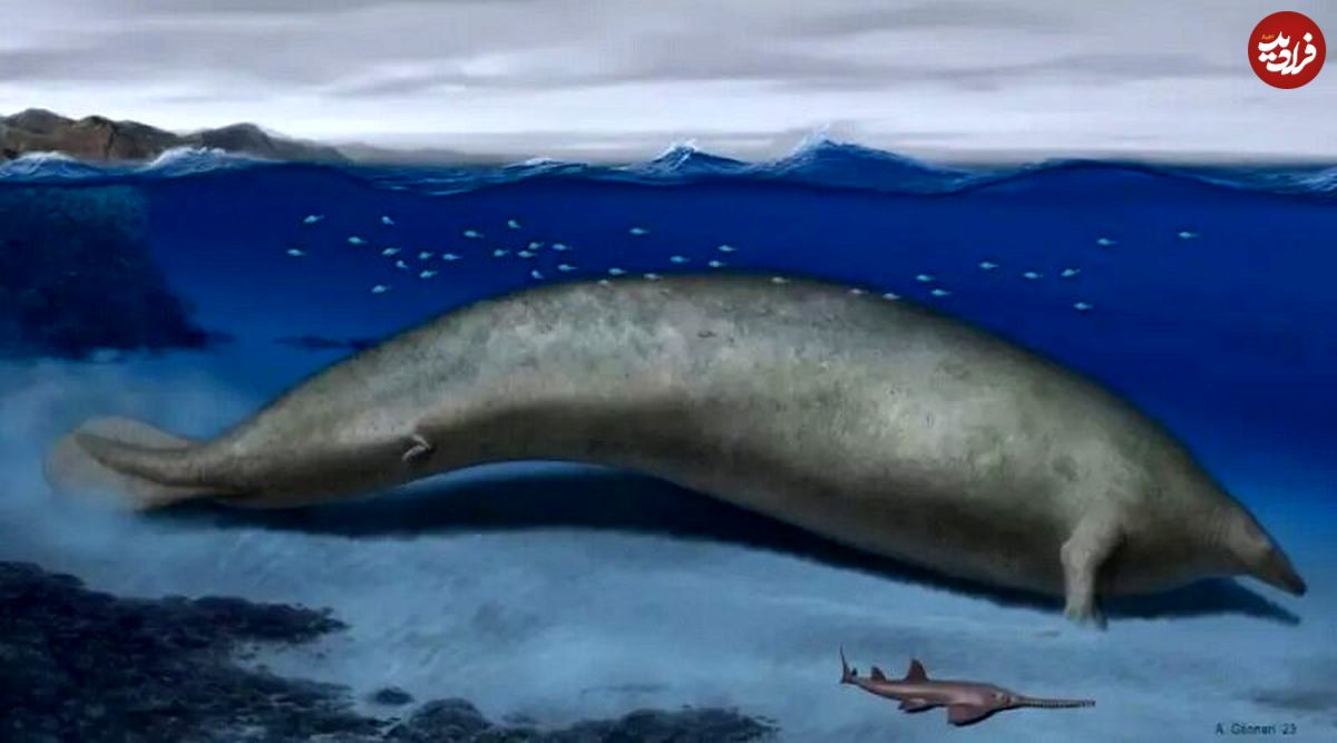 (تصاویر) کشف بزرگ‌ترین حیوان جهان؛ دو برابر سنگین‌تر از نهنگ