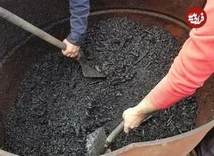 جادوی باستانی در قلب آمازون / «طلای سیاه آمازون» چیست؟