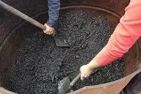 جادوی باستانی در قلب آمازون / «طلای سیاه آمازون» چیست؟