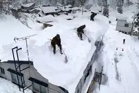 ببینید| برف‌روبی در ژاپن ده‌ها کشته برجا گذاشت!