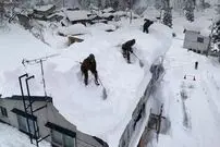 ببینید| برف‌روبی در ژاپن ده‌ها کشته برجا گذاشت!