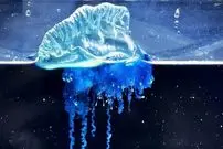 ببینید| کشف یک عروس دریایی سامورایی در ژاپن!