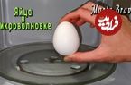ببینید؛ 4 روش آسان برای پخت تخم مرغ در مایکروفر