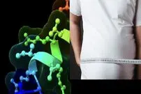 کشف یک داروی لاغری طبیعی بدون عوارض جانبی