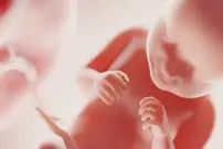 جنین انسان چه زمانی «آگاه» می‌شود؟