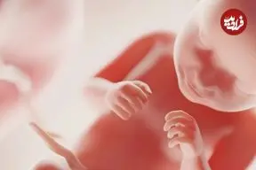 جنین انسان چه زمانی «آگاه» می‌شود؟
