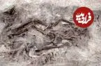 کشف مقبرۀ 1100 سالۀ «زن و سگش» که در قایق دفن شده بودند