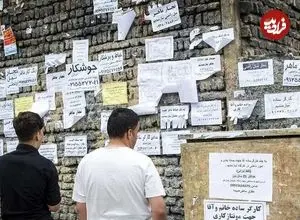 برخی مشاغل زنان به دست مردان افتاد / مشاغل فعال در بستر اینترنت از دست رفتند