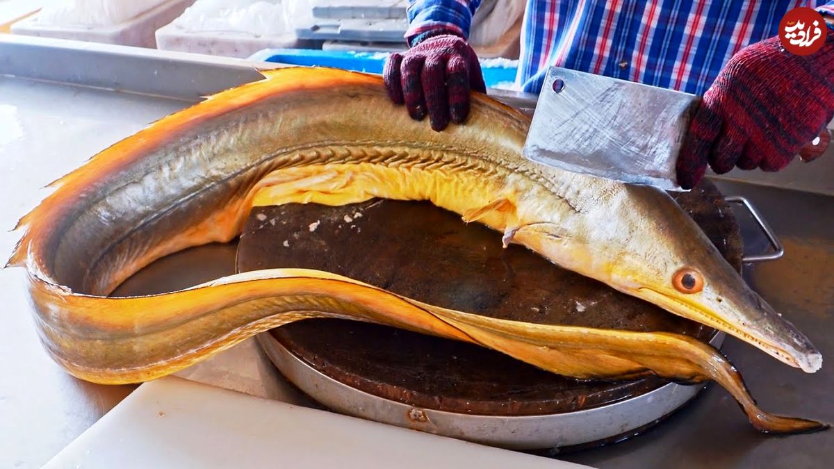 ببینید؛ غذای خیابانی در چین؛ صید مارماهی کانگر زرد و تهیه غذا با آن