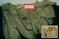 گران‌ ترین پارچه جهان معروف به «میوه ممنوعه پارچه‌ ها» که خریدش ۵ سال حبس دارد!