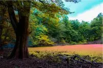 3 جاذبه‌ای که حیرت زده‌تان می‌کنند!
