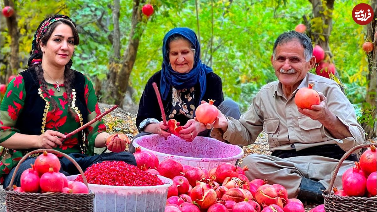 (ویدئو) غذای روستایی در ایران؛ برداشت انار و تهیه رب انار خانگی