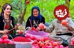 (ویدئو) غذای روستایی در ایران؛ برداشت انار و تهیه رب انار خانگی