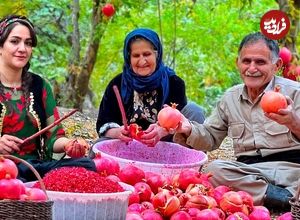 (ویدئو) غذای روستایی در ایران؛ برداشت انار و تهیه رب انار خانگی