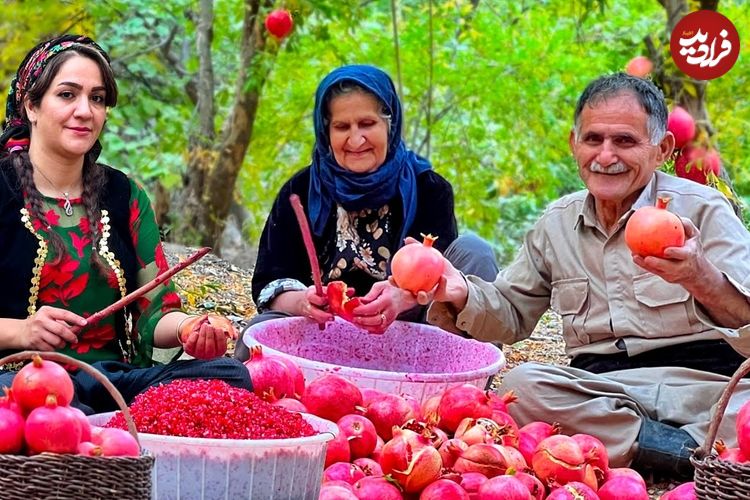 (ویدئو) غذای روستایی در ایران؛ برداشت انار و تهیه رب انار خانگی