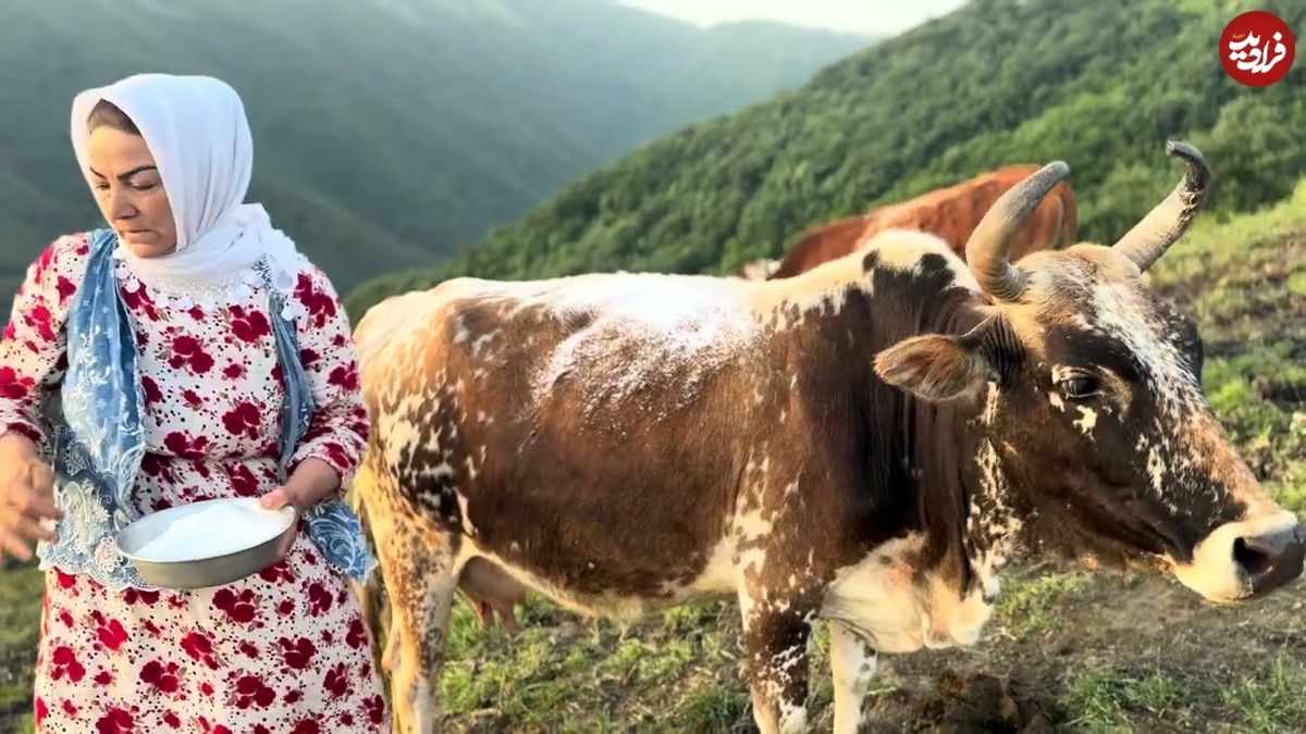 ببینید؛ غذای روستایی در ایران؛ تهیه کره سنتی و پخت آش دوغ