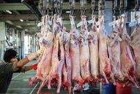 قیمت نهایی گوشت برزیلی و مغولی در بازار