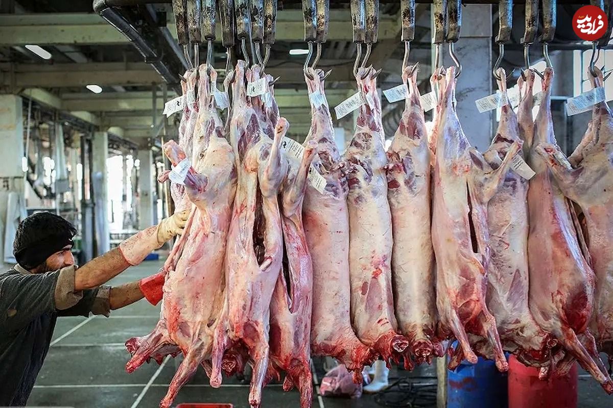 قیمت نهایی گوشت برزیلی و مغولی در بازار
