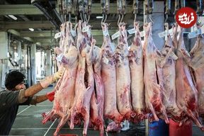 قیمت نهایی گوشت برزیلی و مغولی در بازار