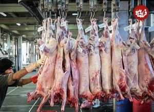 قیمت نهایی گوشت برزیلی و مغولی در بازار