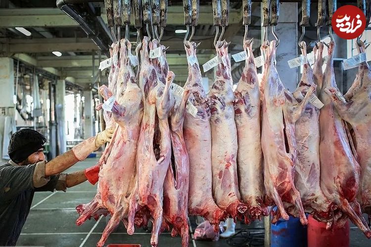 قیمت نهایی گوشت برزیلی و مغولی در بازار