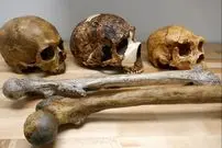 تغییرات آب و هوایی چه تاثیری بر اندازۀ مغز و بدن انسان گذاشته است؟