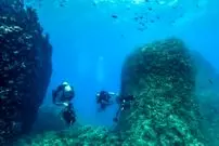 تصاویر| کشفیات باستان‌شناسی سال ۲۰۲۵ که جهان را شگفت‌زده کرد