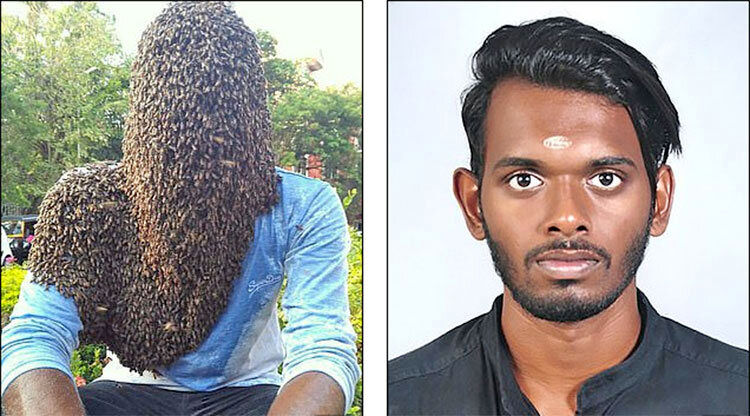 (عکس) مرد هندی با ۶۰ هزار زنبور روی سر و صورت