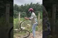 (ویدئو) این دختر شجاع مثل آب خوردن مار خطرناک را گرفت
