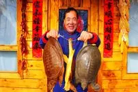 ببینید| غذای روستایی در چین؛ پخت یک غذای سنتی با لاک پشت