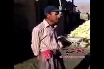 (ویدئو) صدای دلنشین یک کارگر ساختمانی؛ اجرای تماشایی یک اثر سنتی