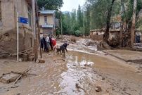 ببینید؛ لحظه وحشتناک ورود سیل به روستایی در مازندران