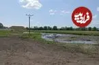 گنج برنزی بعد از سه‌هزارسال از باتلاق بیرون آمد؛ «هدیه‌ای رازآلود به نیروهای مقدس»