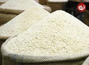 روایت یک واردکننده: برنج هست، ارز نیست!