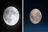 آیا «ماه» از همه‌جای کرۀ زمین به یک شکل دیده می‌شود؟