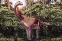 کشفی تاریخی در قطب جنوب؛ راز فسیلی که ۴۰ سال در یک کشو خاک می‌خورد
