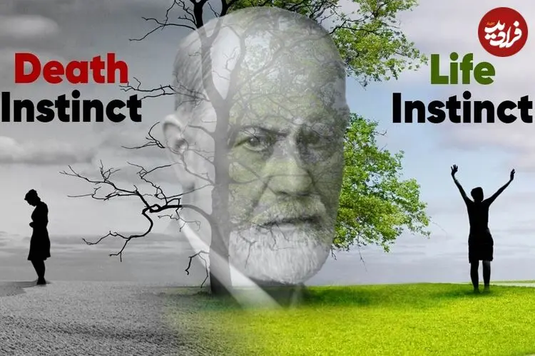 معنای «غریزه زندگی و غریزه مرگ» در روانکاوی فروید