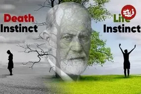 معنای «غریزه زندگی و غریزه مرگ» در روانکاوی فروید