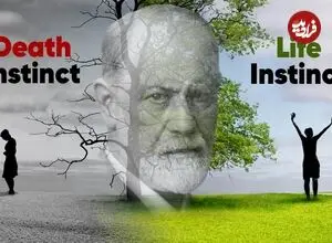 معنای «غریزه زندگی و غریزه مرگ» در روانکاوی فروید