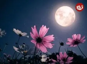 درخشش تماشایی «ماه گل» در آسمان شب اردیبهشت
