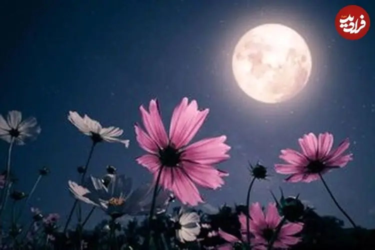 درخشش تماشایی «ماه گل» در آسمان شب اردیبهشت