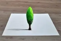 ببینید| به همین سادگی یک نقاشی سه بعدی از یک درخت بکشید!