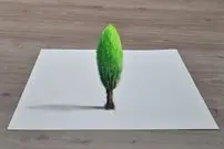 ببینید| به همین سادگی یک نقاشی سه بعدی از یک درخت بکشید!