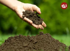 چگونه میکروب‌های خاک ممکن است آینده سیاره ما را کنترل کنند؟