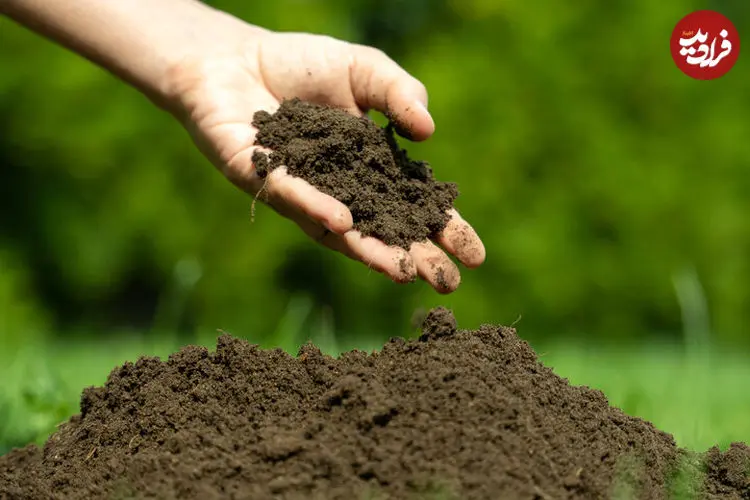 چگونه میکروب‌های خاک ممکن است آینده سیاره ما را کنترل کنند؟