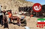 ببینید؛ غذای عشایری در ایران؛ دوشیدن شیر بز و تهیه ماست سنتی