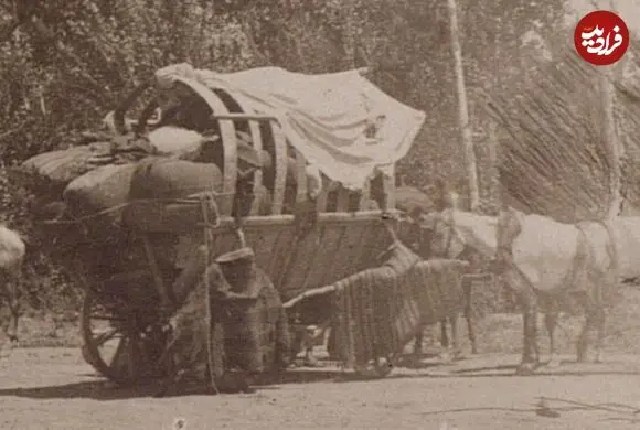 عکس| سفر زمان؛ تصویری از سه درشکه در جاده قزوین تهران در دوران قاجار