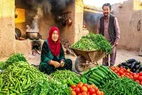 ببینید| غذای روستایی در افغانستان؛ پخت خوراک بامیه توسط زوج مسن افغان